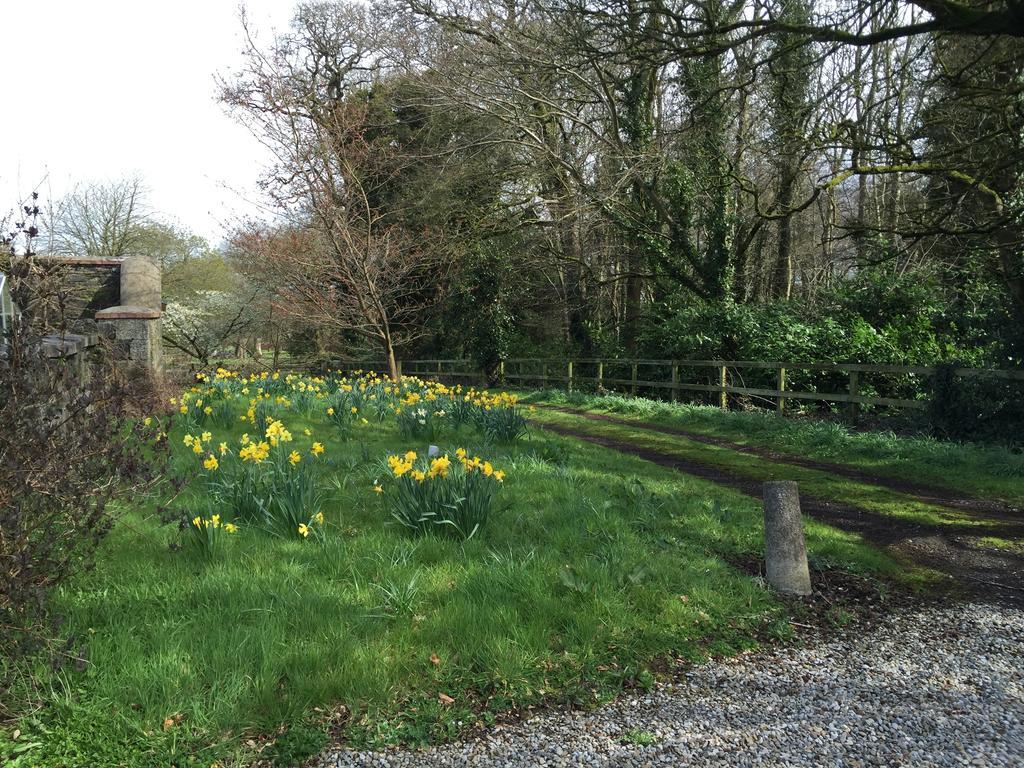 Townley Hall Apartments Slane Bilik gambar